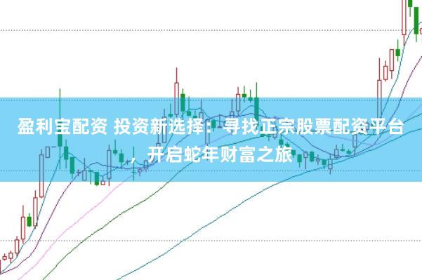 盈利宝配资 投资新选择：寻找正宗股票配资平台，开启蛇年财富之旅