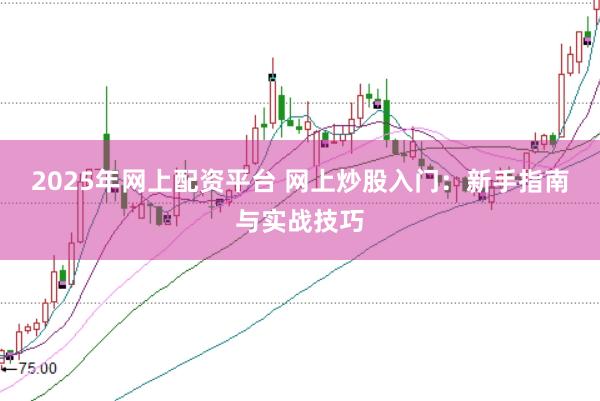 2025年网上配资平台 网上炒股入门：新手指南与实战技巧