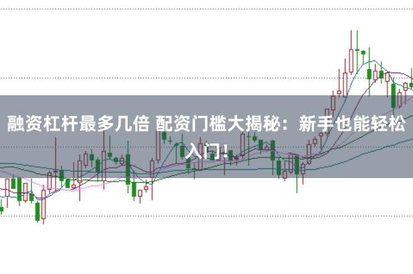 融资杠杆最多几倍 配资门槛大揭秘：新手也能轻松入门！