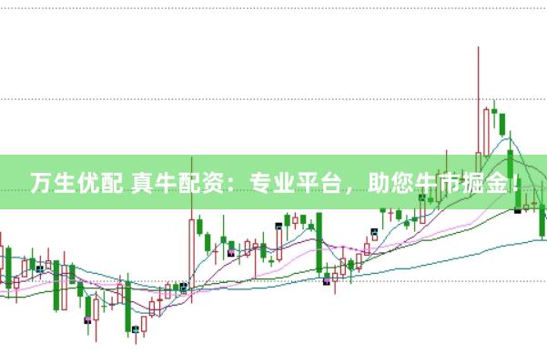 万生优配 真牛配资：专业平台，助您牛市掘金！