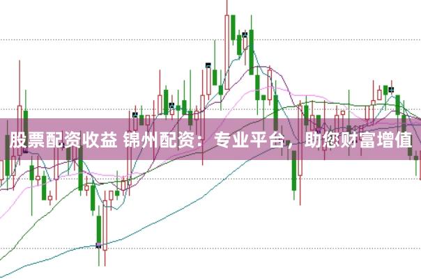 股票配资收益 锦州配资：专业平台，助您财富增值