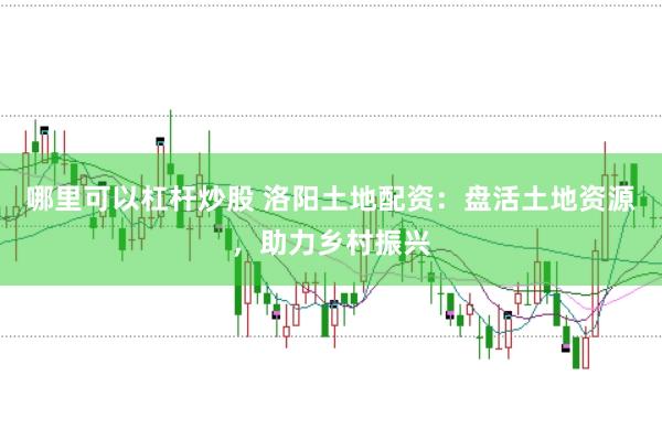 哪里可以杠杆炒股 洛阳土地配资：盘活土地资源，助力乡村振兴