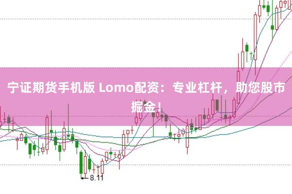 宁证期货手机版 Lomo配资：专业杠杆，助您股市掘金！