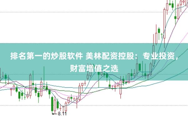 排名第一的炒股软件 美林配资控股：专业投资，财富增值之选