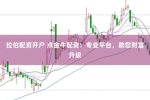 拉伯配资开户 点金牛配资：专业平台，助您财富升级