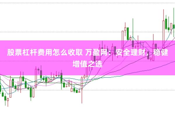 股票杠杆费用怎么收取 万盈网：安全理财，稳健增值之选