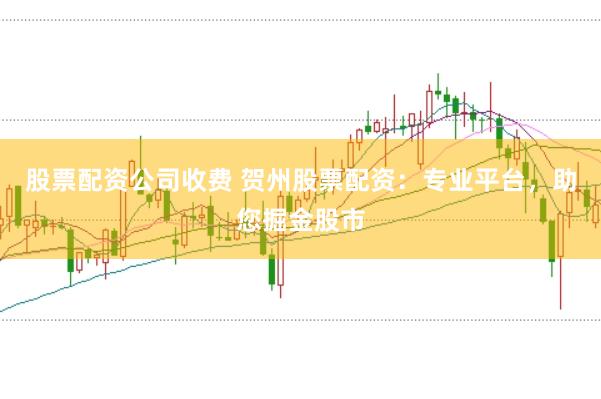 股票配资公司收费 贺州股票配资：专业平台，助您掘金股市
