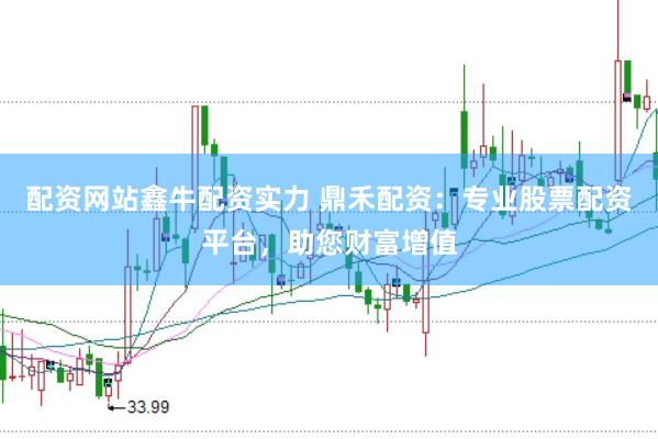 配资网站鑫牛配资实力 鼎禾配资：专业股票配资平台，助您财富增值
