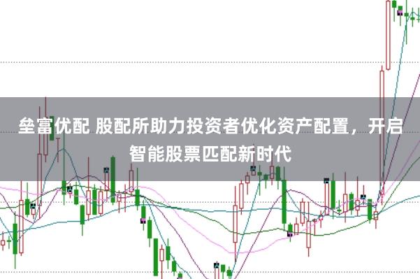 垒富优配 股配所助力投资者优化资产配置，开启智能股票匹配新时代