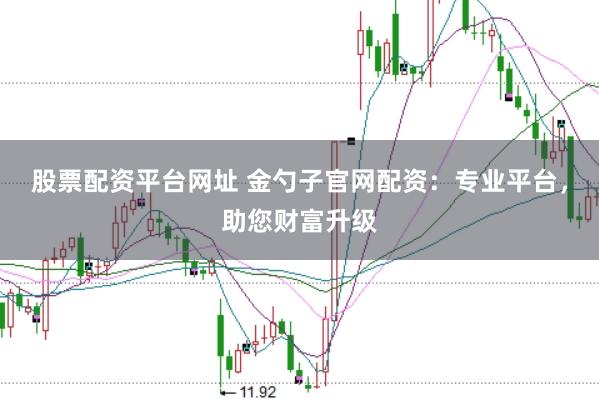 股票配资平台网址 金勺子官网配资：专业平台，助您财富升级