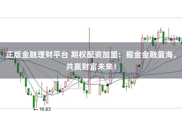 正版金融理财平台 期权配资加盟：掘金金融蓝海，共赢财富未来！
