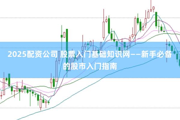 2025配资公司 股票入门基础知识网——新手必备的股市入门指南