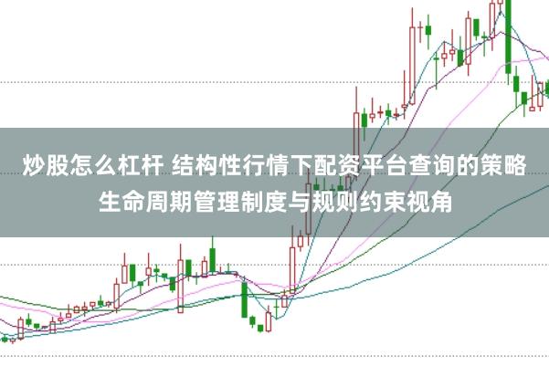 炒股怎么杠杆 结构性行情下配资平台查询的策略生命周期管理制度与规则约束视角