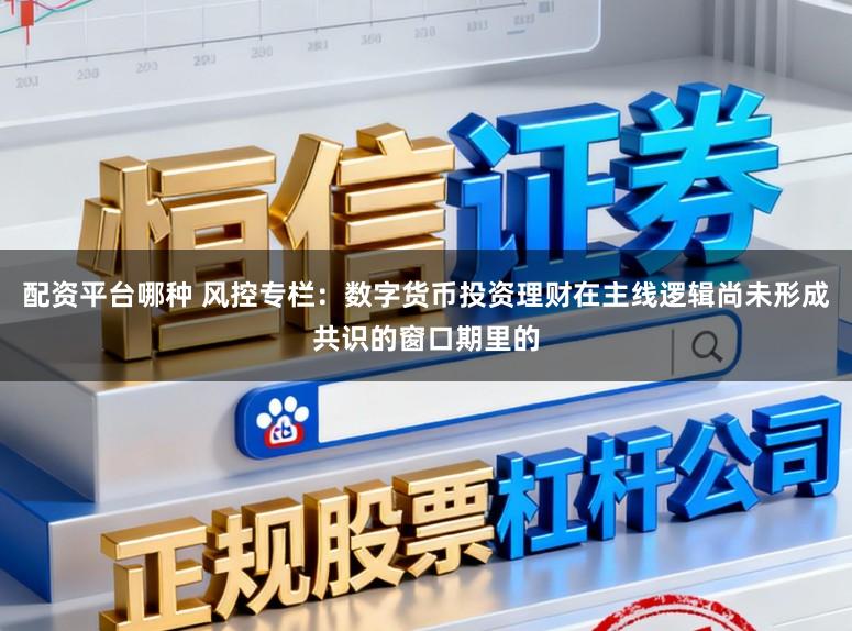 配资平台哪种 风控专栏：数字货币投资理财在主线逻辑尚未形成共识的窗口期里的