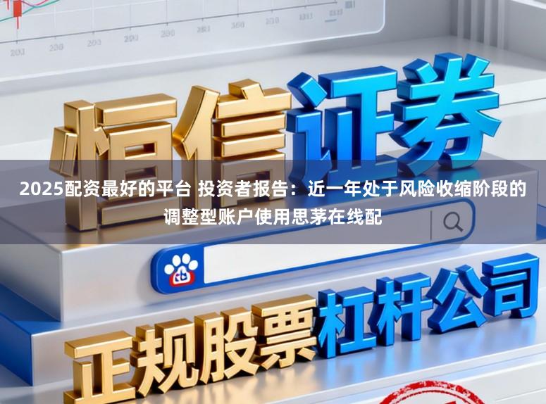 2025配资最好的平台 投资者报告：近一年处于风险收缩阶段的调整型账户使用思茅在线配